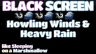 Get a GREAT Nights Sleep with the Sound of Howling Winds and a Thunderstorm  BLACK SCREEN