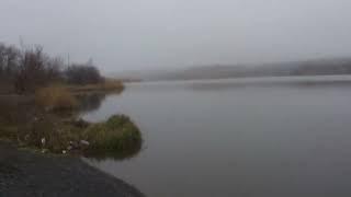 Река Грушевка утро 1 января 2024 года