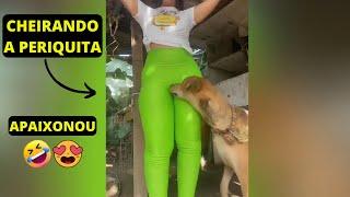  CACHORRO FICOU TARADÃO PELA DONA  OS CACHORROS MAIS TARADOS DA INTERNET