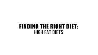 Finding the Right Diet High Fat Diets