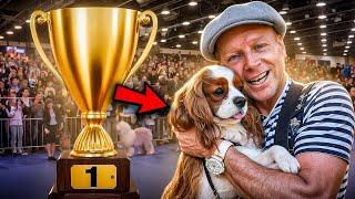 The best dog for home and children LETS TAKE LUKE TO THE DOG OSCAR DOG SHOW 2024