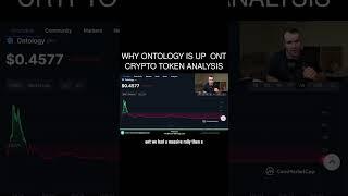 Why Ontology is up  Ont Crypto Token Analysis