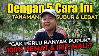 DENGAN 5 CARA INI TANAMAN SUBUR DAN BERBUAH LEBAT TIDAK PERLU BANYAK PUPUK. MAU?