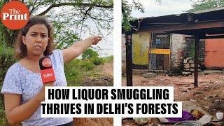 Bootleggers smugglers and forest rangers—the hidden war in Delhis wildlife sanctuaries