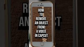 How to remove an object from a video in capcut