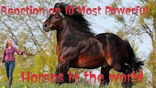 Reaction on 10 Most Powerful Horses in the world