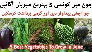 June Main Konsi Sabzi Lagaye What Vegetables To Grow In June Month UrduHindi