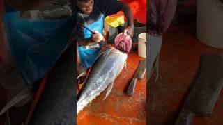 Big Tuna Fish Cutting #fishcutting_skills #srilanka #youtubeshorts
