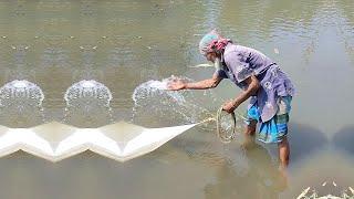 Best Net Fishing Technique - Amazing Fishing Video - Traditional Fishing Video