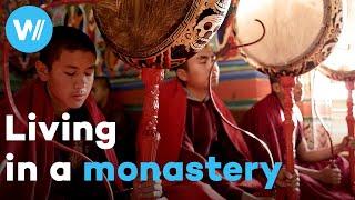 Finding inner peace and happiness in a monastery in Bhutan