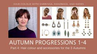 Autumn Progressions Hair Colour Accessories and Transitions