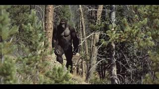 The Clearest Sasquatch Photo Ever  Hunter Gets UP CLOSE Shot Of GIANT BIGFOOT  #bigfoot 2024