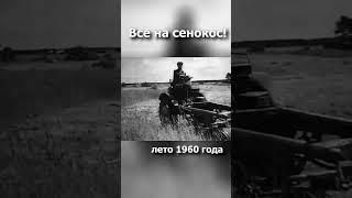 Все на сенокос 1960 год #ссср  #история #шорты #кино #сенокос