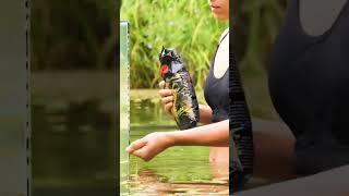 Perangkap ikan paling jitu dan ampuh#vedioviral#perangkapikan#short#viralvideo