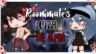 Roommates With The Alpha? Original Gacha Life Mini Movie