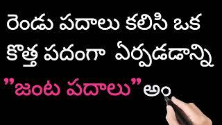 జంట పదాలు అనగ ఏమిటి? వాటి ఉదాహరణలు.