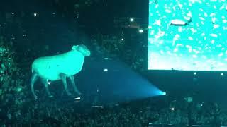 Roger Waters - Sheep This Is Not A Drill  Farewell Tour