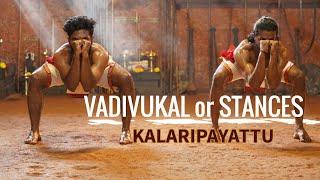 Vadivukal or Stances of the combatant  Kalaripayattu  Kerala Tourism