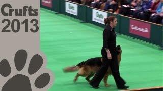 Obedience Dog Championships - Day 3 - Crufts 2013 Jenny Gould & Zakanja Bitter N Twisted