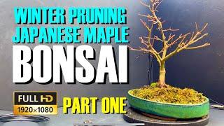 Winter Pruning Japanese Maple Bonsai - part 1