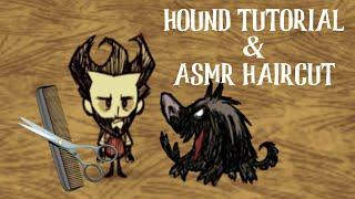 Dont Starve How to Deal with Hounds ASMR Haircut Edition