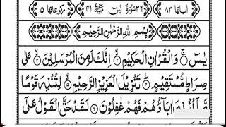 Surah Yaseen Surah Yasin Quran Pak Surat Yaseen  Surat Yasin Tilawat#surah yaseen #surah #quran