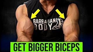 5min Home BICEPS Workout HERES HOW TO GET BIGGER BICEPS