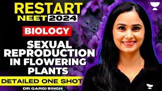 Sexual Reproduction in Flowering Plants  Detailed One Shot  NEET 2024  Dr. Gargi Singh