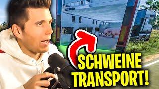 Der SCHWEINE-TRANSPORT in die FREIHEIT  On the ROAD