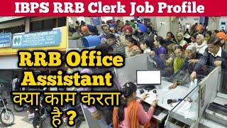 IBPS RRB Clerk Job Profile  RRB Office Assistant job profile  RRB recruitment 2021