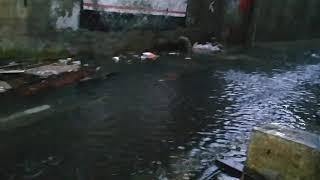 Kota jakarta banjir