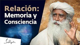 Memoria consciencia y coma Charla Completa Sadhguru en la Escuela de Medicina de Harvard