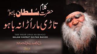 Tari Maar Ura Na Bahoo  Kalam Hazrat Sultan Bahoo  Kalam E Bahu  Sufi Kalam Lyrics  Xee Creation