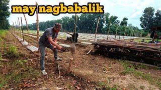 PAGTATAYO NG BALAG NG AMPALAYA  day 2