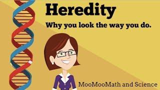 Heredity- Why you look the way you do?