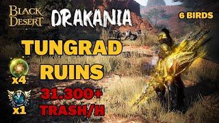 BDO  New Rotation is AMAZING  Tungrad Ruins - Drakania Awakening  31.300 Lv2