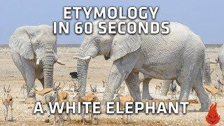 Where is the phrase White Elephant gift from? - Etymology in 60s