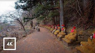 Rainy Day Nature Walk in Nikko Japan Relaxing Nature Sounds  4K