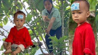 Picking wild figs to sell and buy food. Taking care of sick children.  Du Duyên daily life