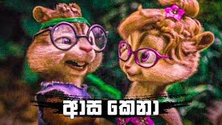 ආස කෙනා  Asa Kena  Nilan Fernando  Alvin And The Chipmunks Version