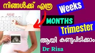 How to Calculate pregnancy weeksmonth & trimester Malayalam