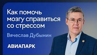 Вячеслав Дубынин о том как помочь мозгу справиться со стрессом