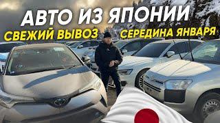 Авто из Японии по Низким Ценам  Большой вывоз