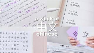 my weekly chinese study routine  how I study beginner chinese  HSK 1 level