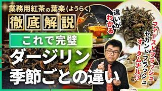 【これで完璧】ダージリン紅茶の季節ごとの特徴をプロが解説！【ファーストフラッシュ・セカンドフラッシュ・オータムナル】