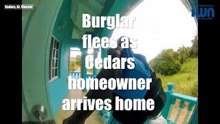 Burglar flees as homeowner returns