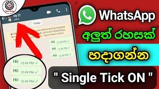 Whatsapp Single Tick Only  How to Show One Tick On Whatsapp  Hidden Settings 2023  Sri lanka