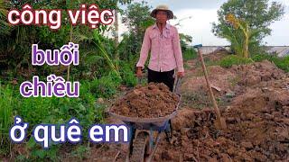 công việc buổi chiều ở quê em. cuộc sống người miền tây