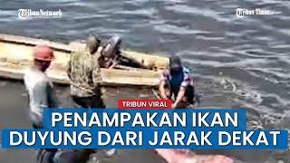 VIDEO FULL Penampakan Ikan Duyung Dari Jarak Dekat Ada yang Cari Air Matanya