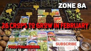 26 Crops to Grow in February  Spring Seedling Update  Zone 8a